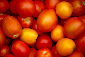 Fresh organic red tomatoes. Eco friendly non-gmo red tomatoes on the table. The concept of health, non-gmo products, clean ecological food.