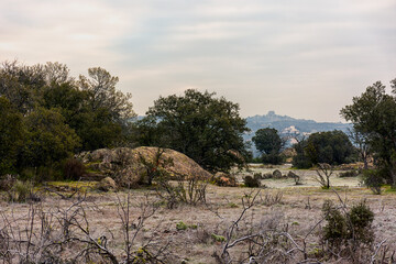 Plantas y vistas del Parque Regional del Curso Medio del r&iacute;o Guadarrama en la Comunidad de Madrid, Espa&ntilde;a