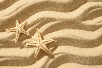 Fototapeta na wymiar Sandy beach background with starfishes. Top view. Copy space. Banner. Backdrop for mockups. Summer vacation.
