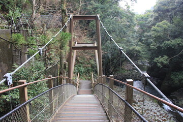Fototapeta premium 起伏のある吊り橋