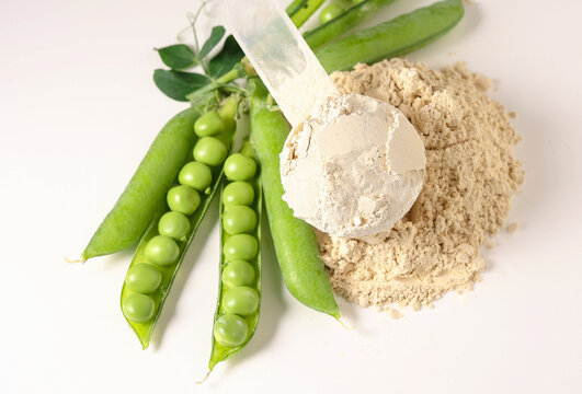 Plant base protein Pea Protein Powder in plastic scoop with fresh green Peas seeds on white Background, isolated copy space. 