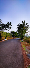 road in the woods