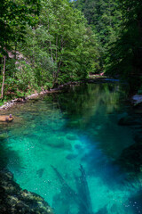 Beautiful view of the turquoise transparent stream water in Vintgar Gorge near Lake Bled in summer, Upper Carniola, Slovenia