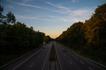 Highway through forest