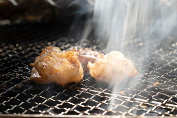 ホルモン焼き　網焼き　バーベキュー　スタミナホルモン