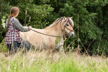 Natural horsemanship concept: A woman working with her norwegian fjord horse on a longe rope in...