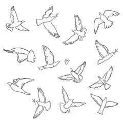 Doodle dove of peace illustration set. Concept of peace. Flying stylized bird vector illustration