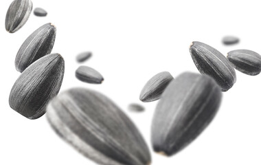 Flying sunflower black seeds, isolated on white background