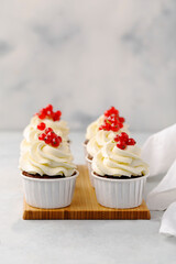Vanilla cupcakes on white wood background, copy space