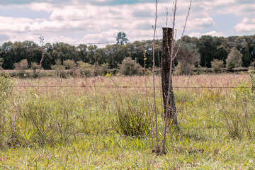 Panoramic shot of a fence in a countryside on a rural town in a sunny spring day.