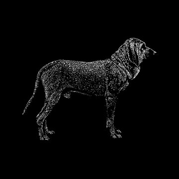 Fila Brasileiro dog hand drawing vector illustration isolated on black background