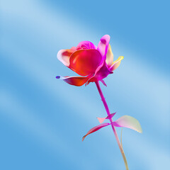 Red Rose on Blue Sky. 3D Illustration