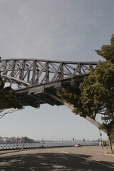 Bridge in the city