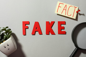 Flat lay composition with words Fake and Fact on grey background