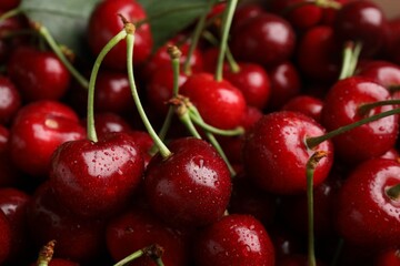 Ripe sweet cherries with water drops as background, closeup