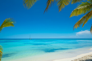 Fototapeta na wymiar Tropical paradise: caribbean beach with single palm tree and boat, Punta Cana