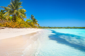 Fototapeta na wymiar Tropical paradise: idyllic caribbean beach with palm trees, Punta Cana, Saona