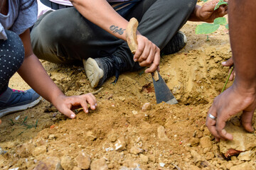Gurgaon, India 2022: People planting trees during a plantation drive. Ground is being dug for planting the trees