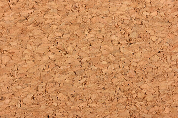 Processed by peeling off the cork tissue of the bark