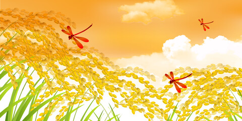 赤とんぼ　米　稲　背景 © J BOY