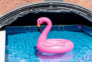 Pink flamingos in a pool with blue tiles. In the rays of the sun. Relax in the backyard of a country house