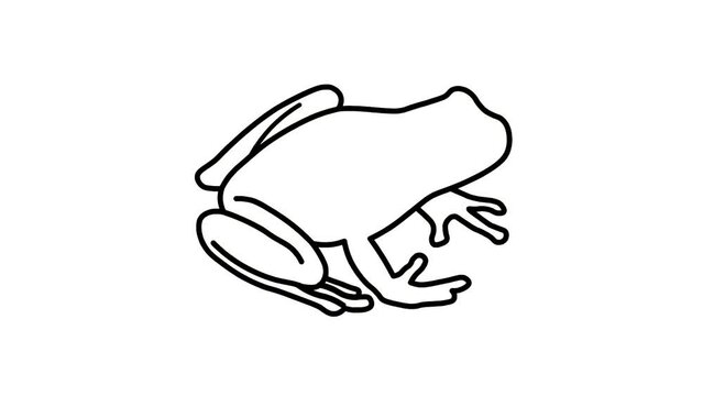 Frog Sketch And 2d Animated, Animal 