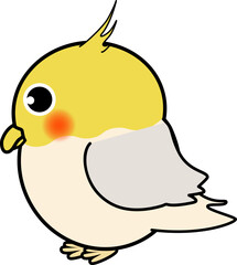 可愛いオカメインコの横向き