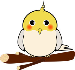 木にとまる可愛いオカメインコ