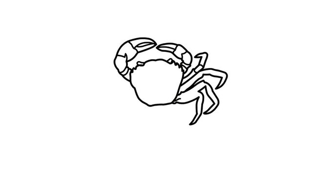 Crab Sketch and 2d animated