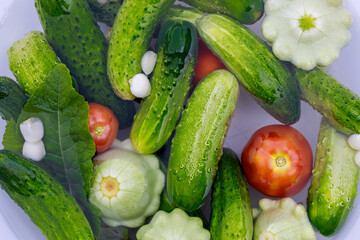 Garden vegetables tomatoes and cucumbers picked fresh for salads.