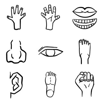 doodle human body part icon set with outline hand drawn style