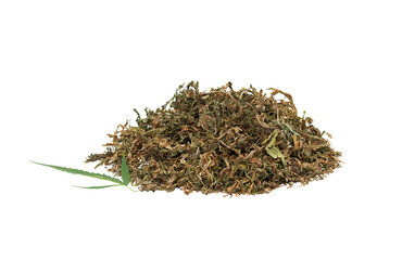 Fototapeta na wymiar Macro of dried bud of marijuana of different sizes , isolated on white background, Dry cannabis, Copy space