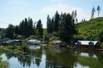 Obraz premium Houseboats on Jack Creek