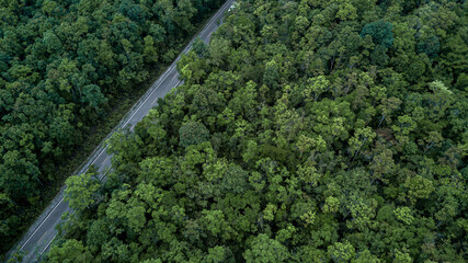 Aerial view road in the middle forest, Top view road going through green forest adventure, Ecosystem ecology healthy environment road trip travel.