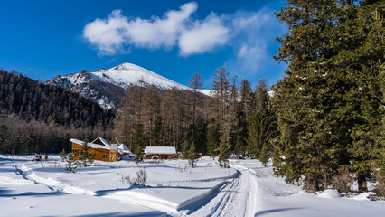 Fototapeta na wymiar The roads are trampled in snowdrifts. Tire tracks are visible. All around pure white snow. Wooden houses are built on the edge of a coniferous forest. A mountain on a background of blue sky. Altai