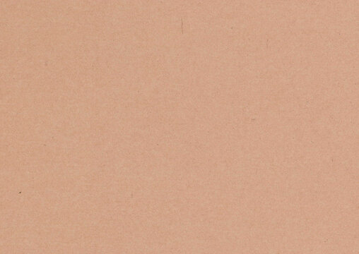 Highly detailed large image magnified close up of brown, cream, smooth, recycled uncoated paper texture background scan with fine grain fiber and copy space for text for high resolution wallpapers