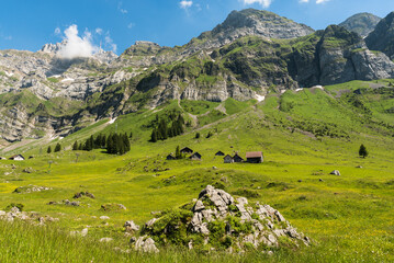 Fototapeta na wymiar Mountain huts and pastures on the Schwaegalp, view of Mount Saentis, Switzerland