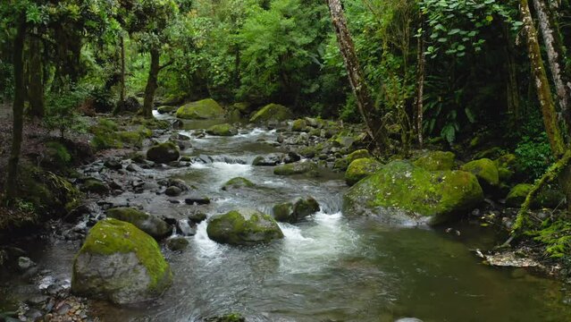 Aerial Drone View of River in Costa Rica Rainforest Scenery, Beautiful Nature with Water Flowing Through the Jungle at Savegre, San Gerardo De Dota, Central America