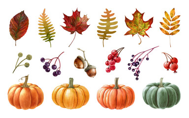 Autumn pumpkin, leaves, berries, acorn watercolor set. Hand drawn illustration. Ripe orange, green, yellow pumpkins, fallen leaves, berries. Autumn elements on white background