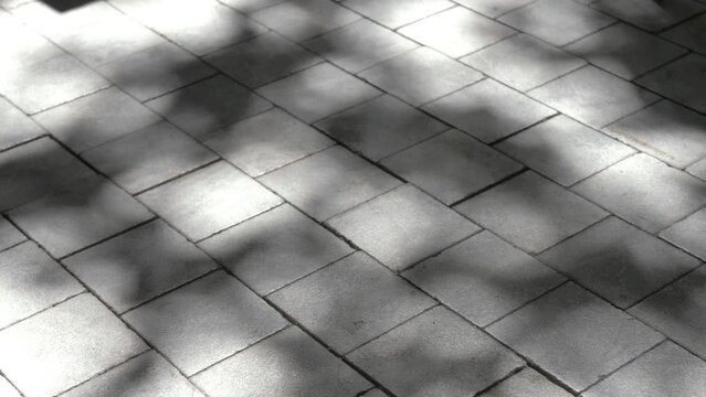 Sunlight tree reflection dancing hypnotically on flagstones. Close up