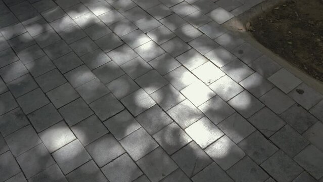 Sunlight trees reflect dancing hypnotically on flagstones. Medium shot