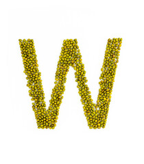 Capital letter W made from mung beans. Green mung bean font. Alphabet made from green gram . White background. Dry green maash seeds.