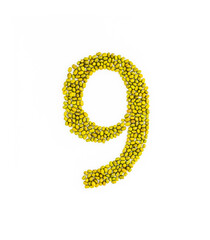 Number 9 made from mung beans. Green mung bean font. Alphabet made from green gram . White...