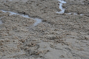 Abstract background of beach sand pattern in tidal area