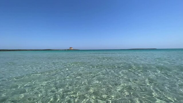 View from the water of the beautiful, pristine and uncontaminated bay of Torre Guaceto Natural Reserve, Italy, with the tower far away and shallow sea.