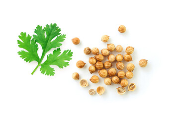 Group coriander seed isolated on white background , top view , flat lay. - obrazy, fototapety, plakaty