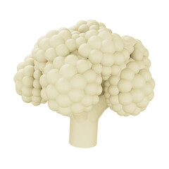 Cauliflower 3d rendering isometric icon.