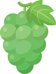 シンプルでかわいいマスカットのイラスト