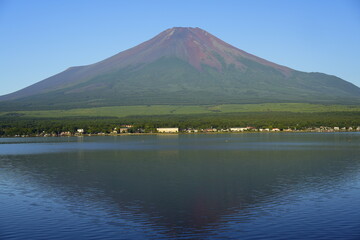 Fototapeta premium 富士山