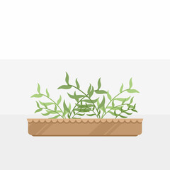 Plant pot design vector template